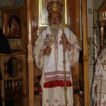 Епископ жички Хризостом