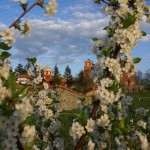 Пролеће у Манастиру Жича