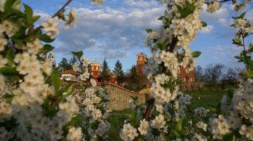 Пролеће у Манастиру Жича